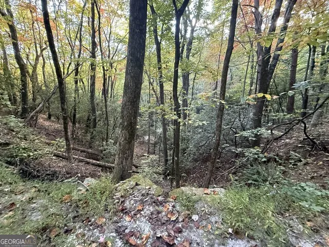 0 Wood Sorrel LN Clayton, GA 30525