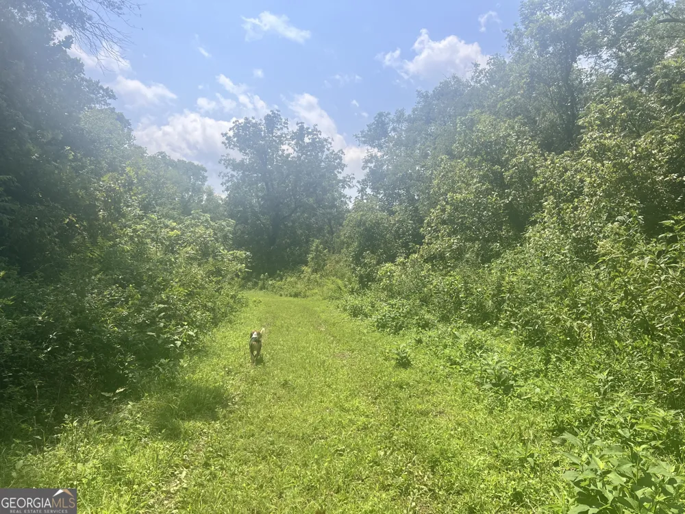 0 Woody RD Adairsville, GA 30103