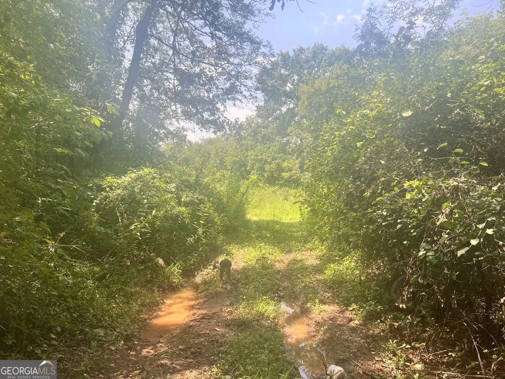 0 Woody RD Adairsville, GA 30103