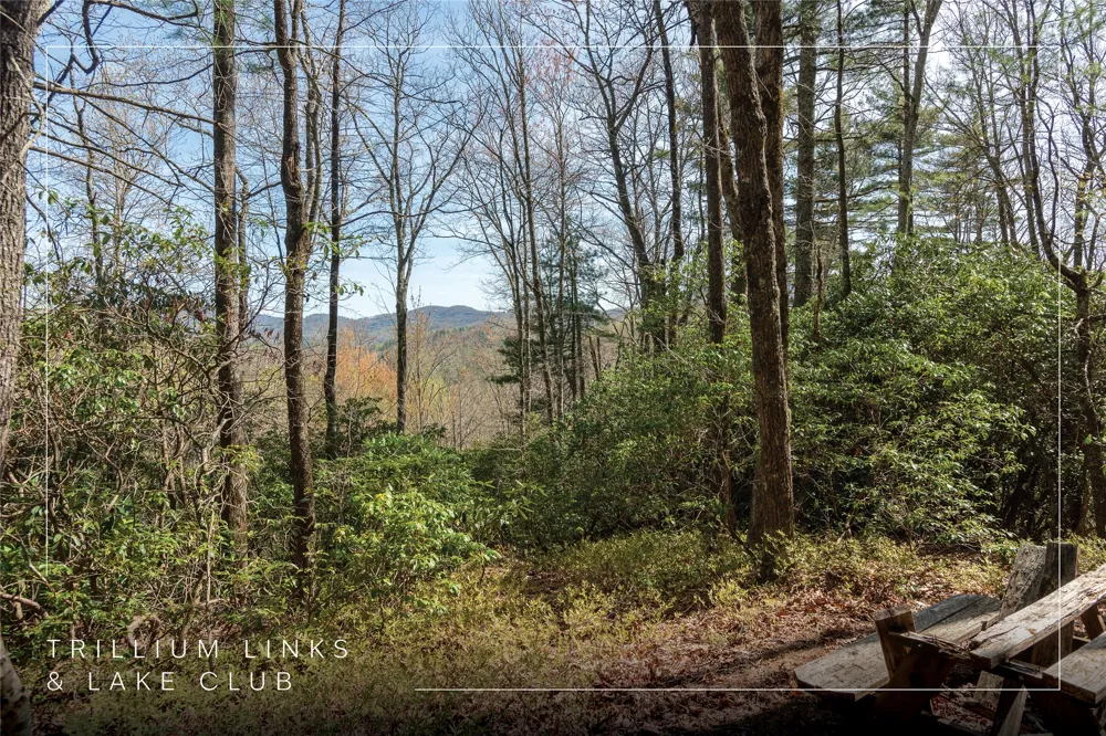 Lot 4 Trillium Ridge Road Cullowhee, NC 28723