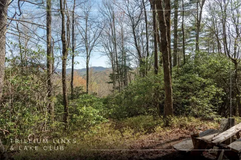 Lot 4 Trillium Ridge Road