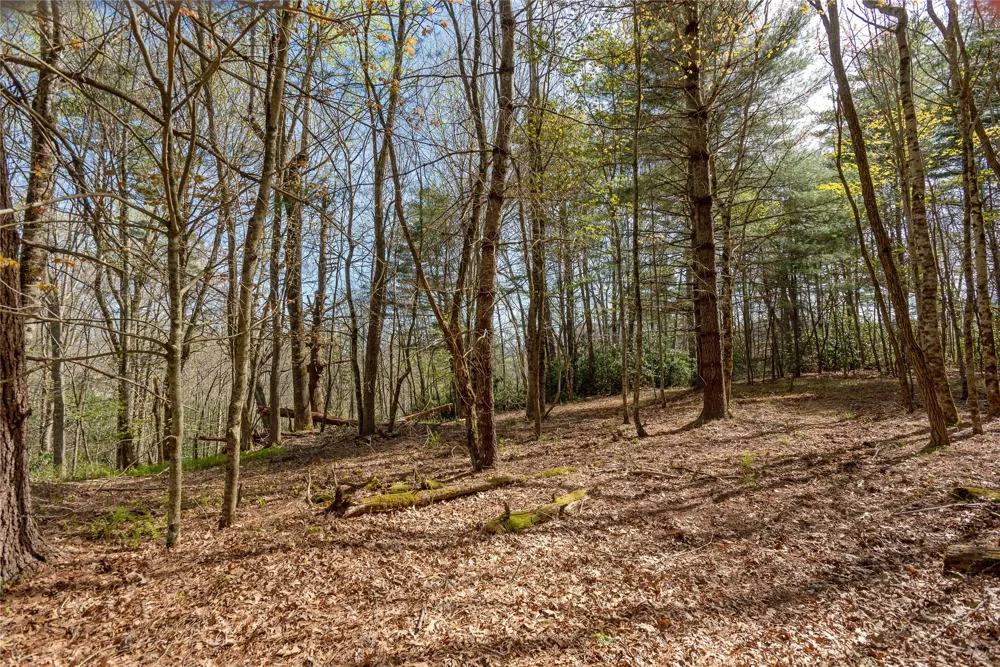 Lot 4 Trillium Ridge Road Cullowhee, NC 28723