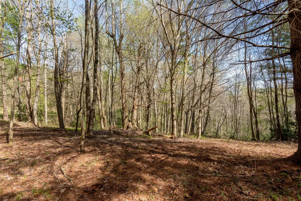 Lot 4 Trillium Ridge Road Cullowhee, NC 28723