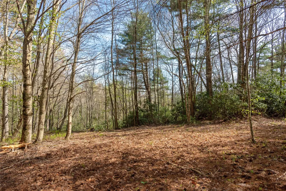 Lot 4 Trillium Ridge Road Cullowhee, NC 28723