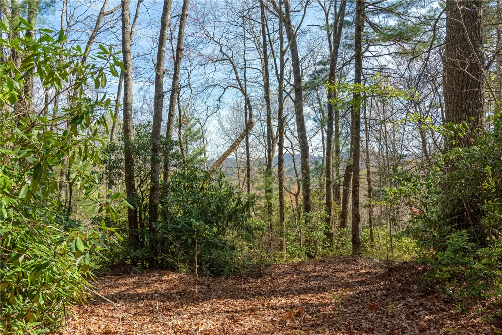 Lot 4 Trillium Ridge Road Cullowhee, NC 28723