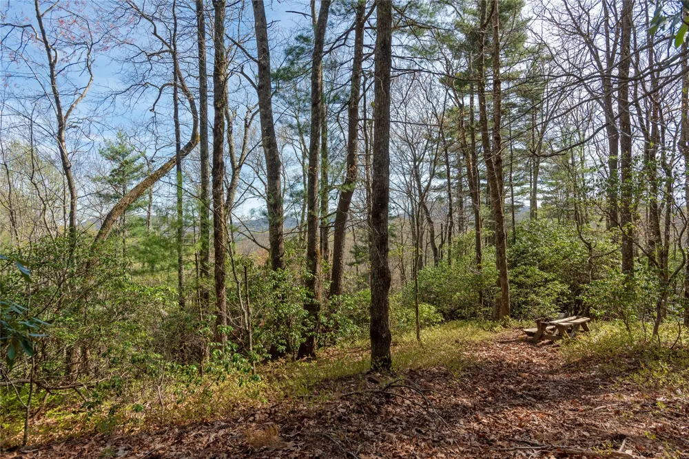 Lot 4 Trillium Ridge Road Cullowhee, NC 28723