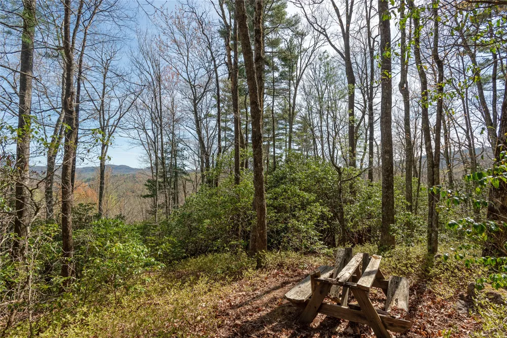Lot 4 Trillium Ridge Road Cullowhee, NC 28723