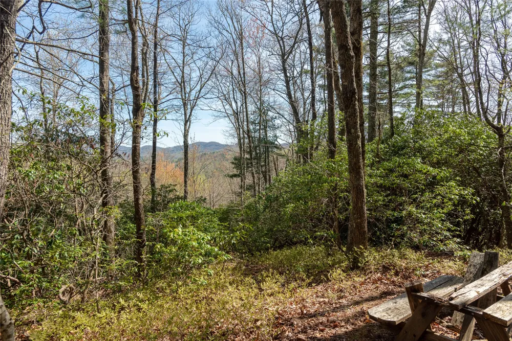 Lot 4 Trillium Ridge Road Cullowhee, NC 28723