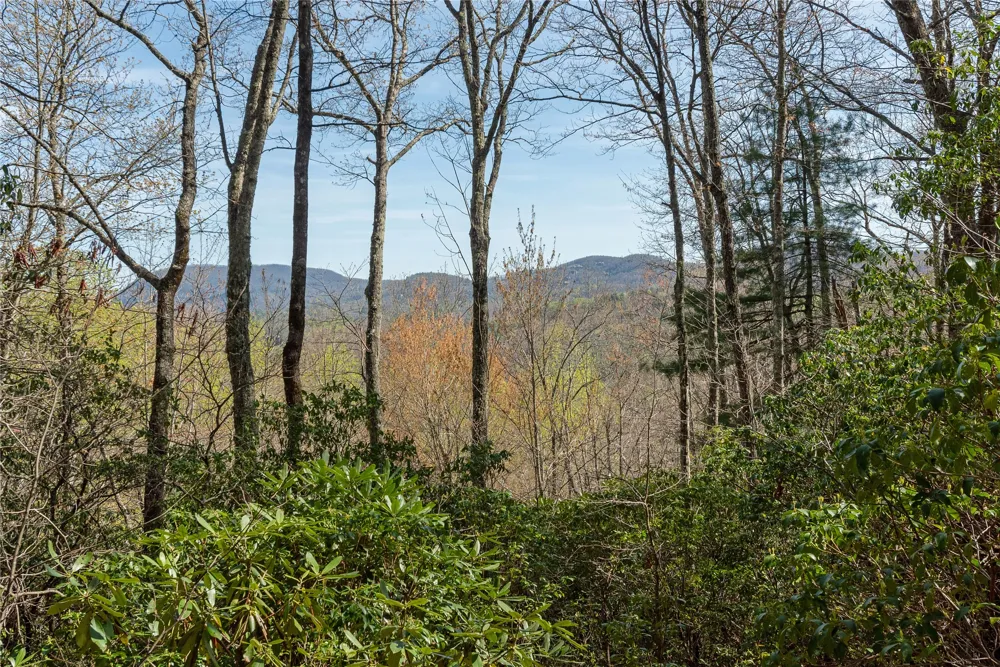 Lot 4 Trillium Ridge Road Cullowhee, NC 28723