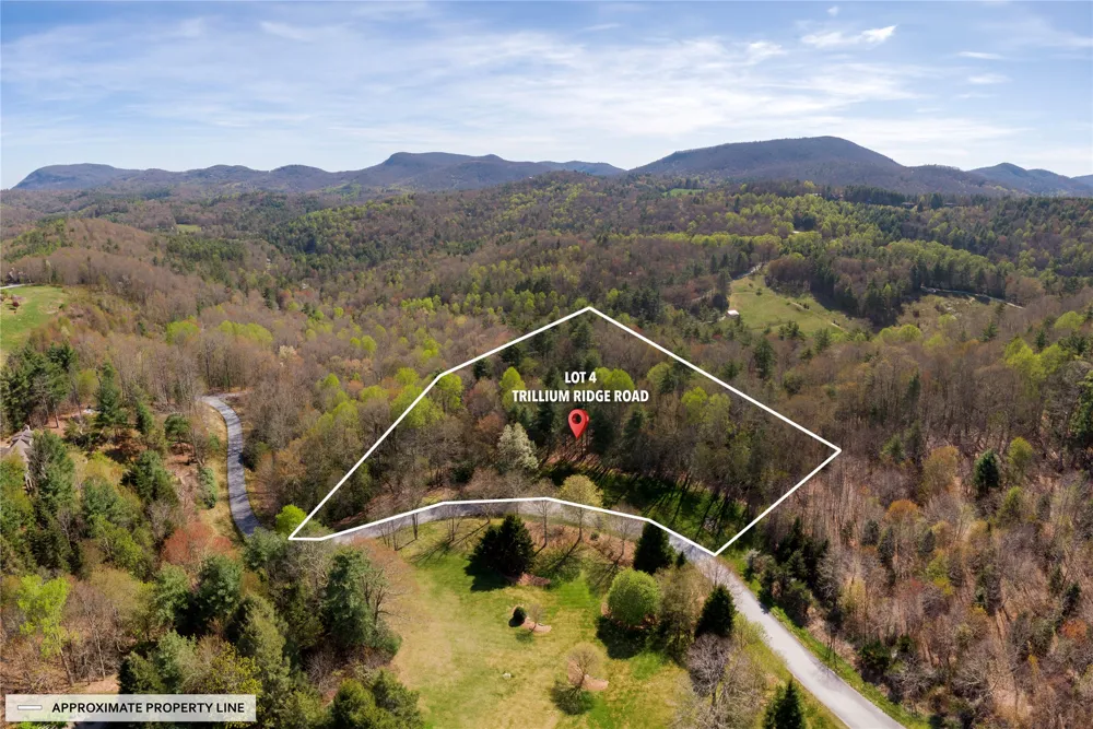 Lot 4 Trillium Ridge Road Cullowhee, NC 28723