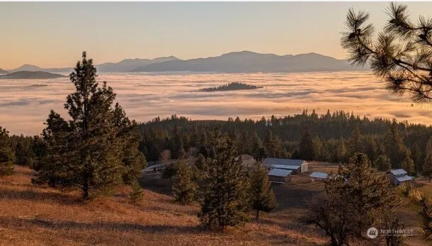 717 Conrad Hill Way Colville, WA 99114