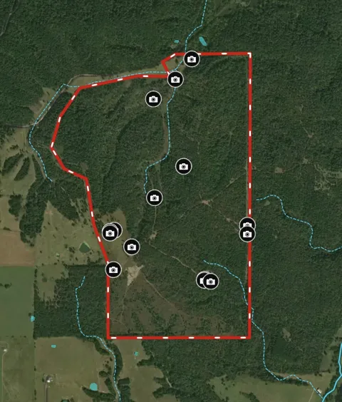 CR 618