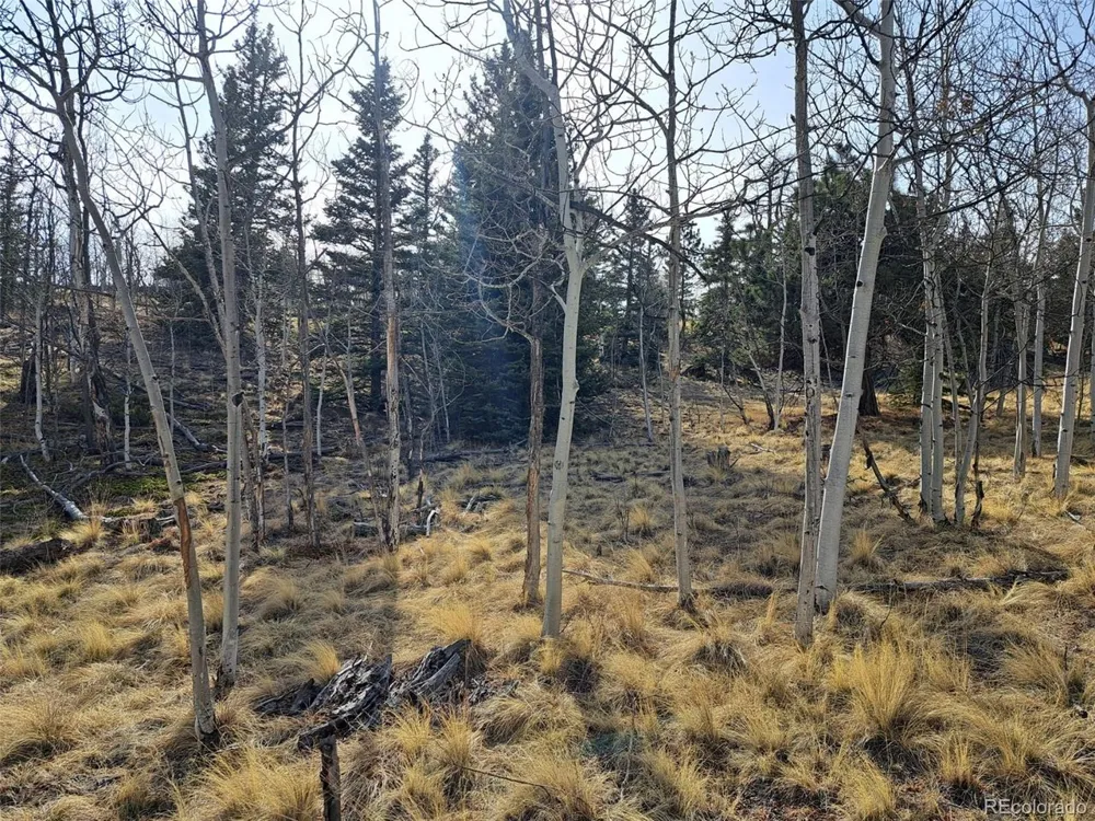 93 Wyandot Way Como, CO 80432