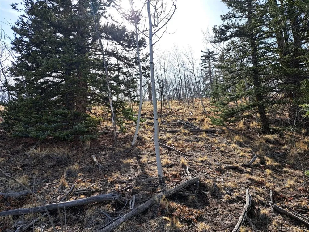93 Wyandot Way Como, CO 80432