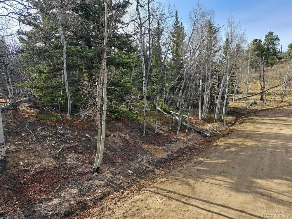 93 Wyandot Way Como, CO 80432