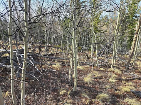 93 Wyandot Way