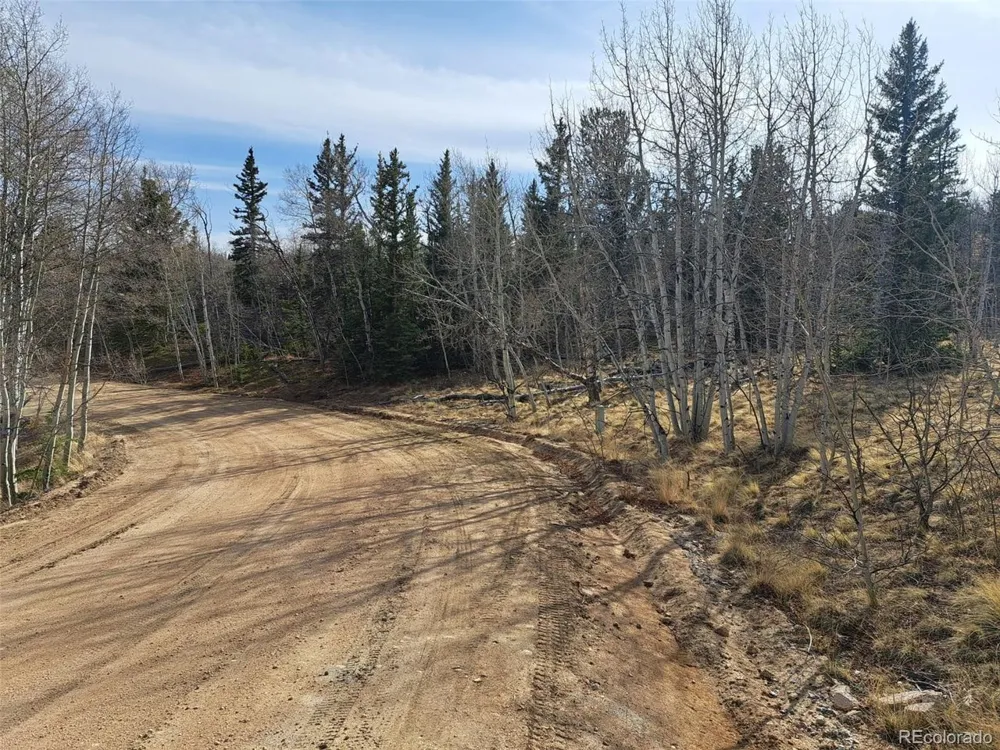 93 Wyandot Way Como, CO 80432