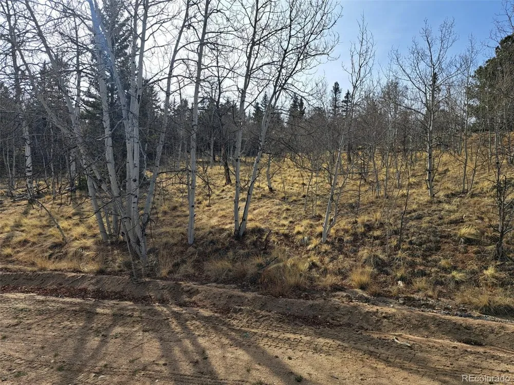 93 Wyandot Way Como, CO 80432