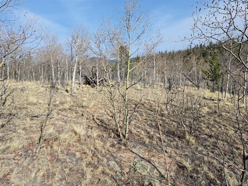 93 Wyandot Way Como, CO 80432