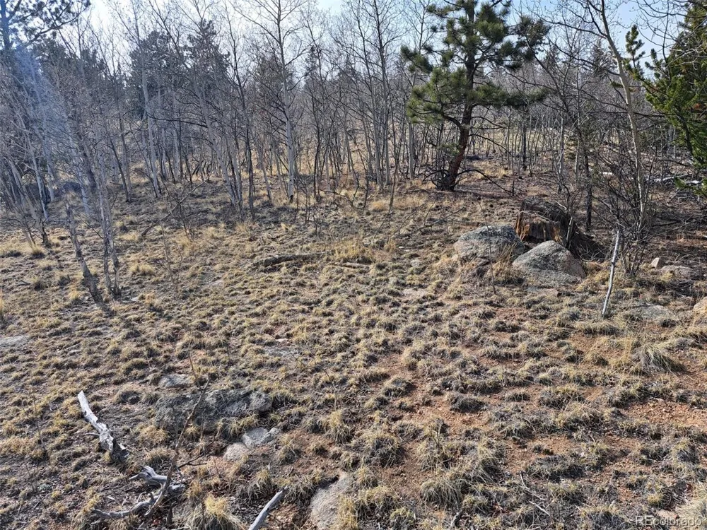 93 Wyandot Way Como, CO 80432
