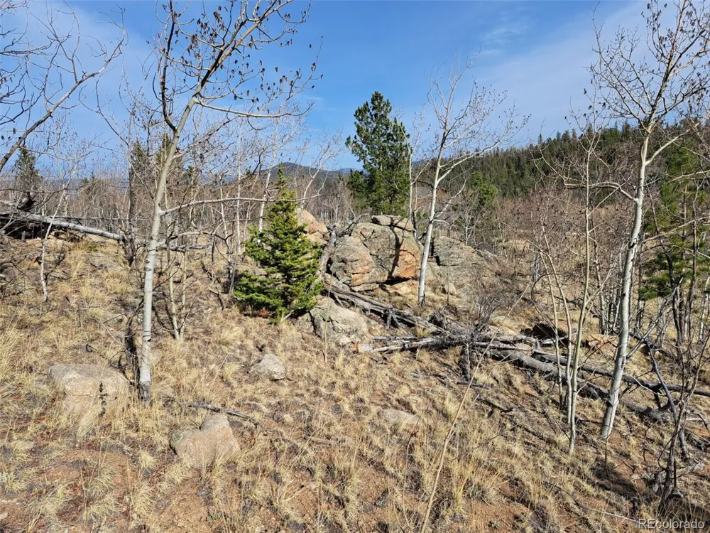93 Wyandot Way Como, CO 80432