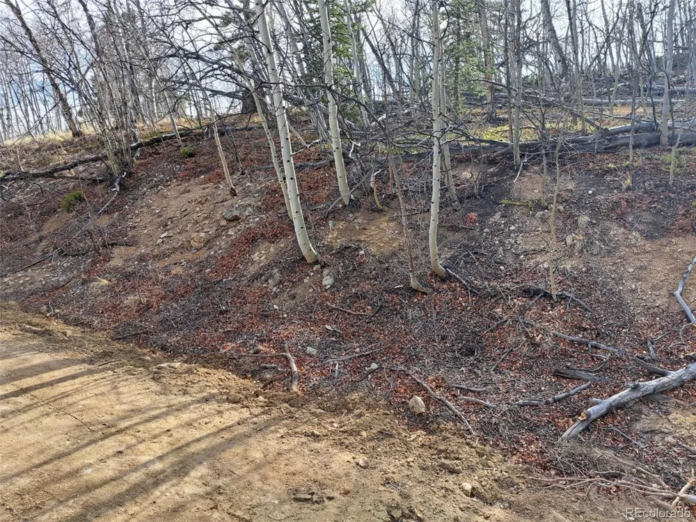 93 Wyandot Way Como, CO 80432