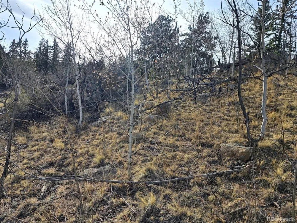 93 Wyandot Way Como, CO 80432