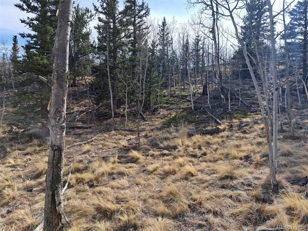 93 Wyandot Way Como, CO 80432