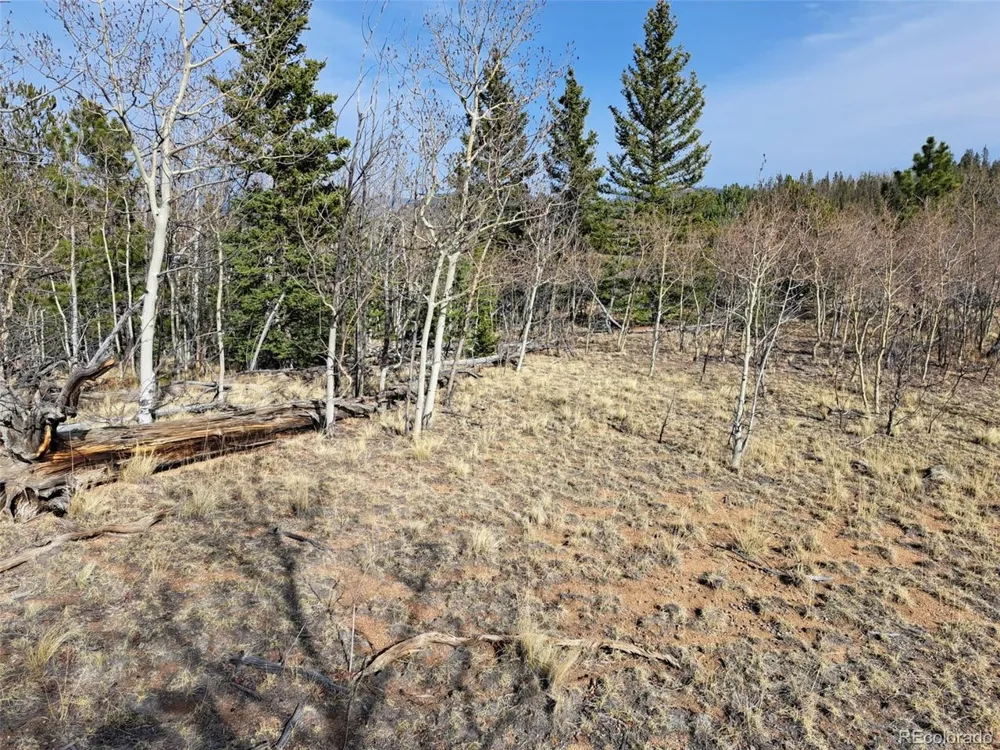 93 Wyandot Way Como, CO 80432