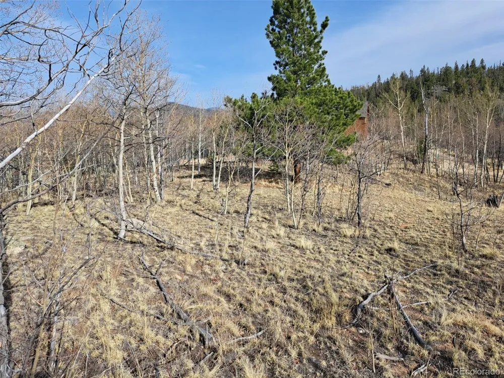 93 Wyandot Way Como, CO 80432