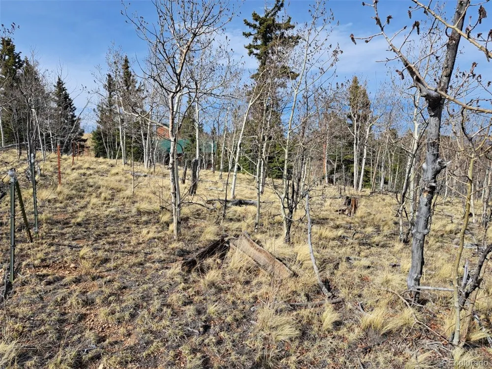 93 Wyandot Way Como, CO 80432