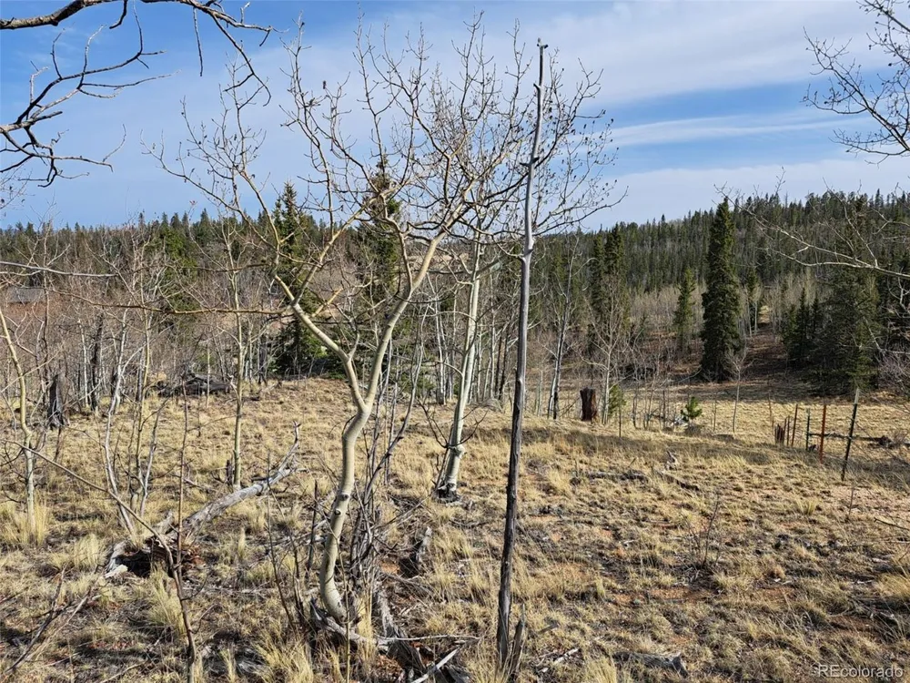 93 Wyandot Way Como, CO 80432