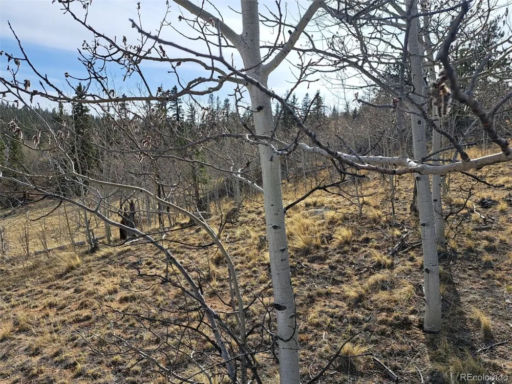 93 Wyandot Way Como, CO 80432