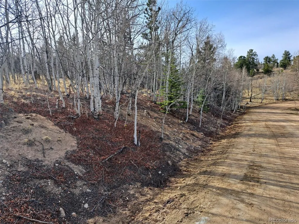 93 Wyandot Way Como, CO 80432