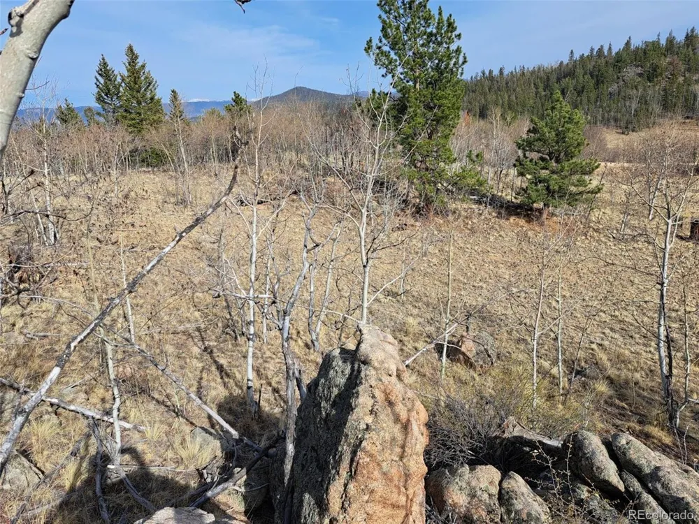 93 Wyandot Way Como, CO 80432