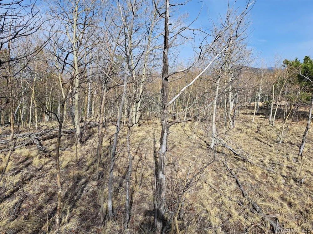 93 Wyandot Way Como, CO 80432