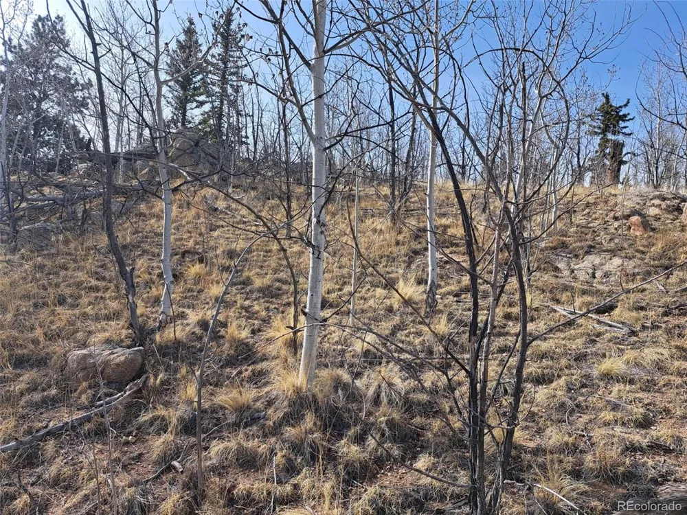 93 Wyandot Way Como, CO 80432