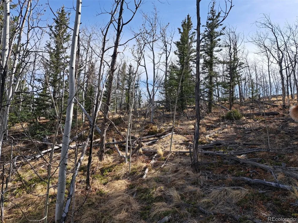 93 Wyandot Way Como, CO 80432