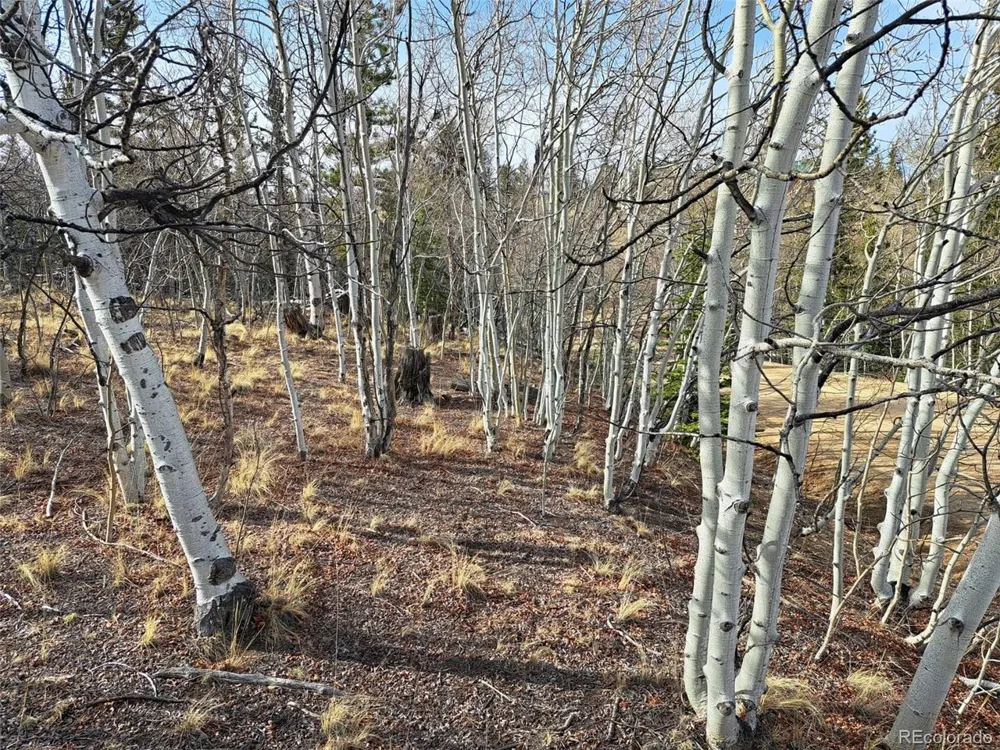 93 Wyandot Way Como, CO 80432