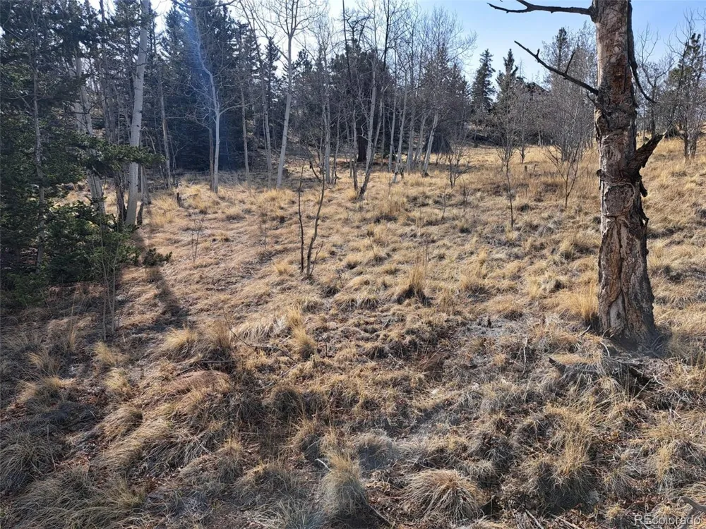 93 Wyandot Way Como, CO 80432