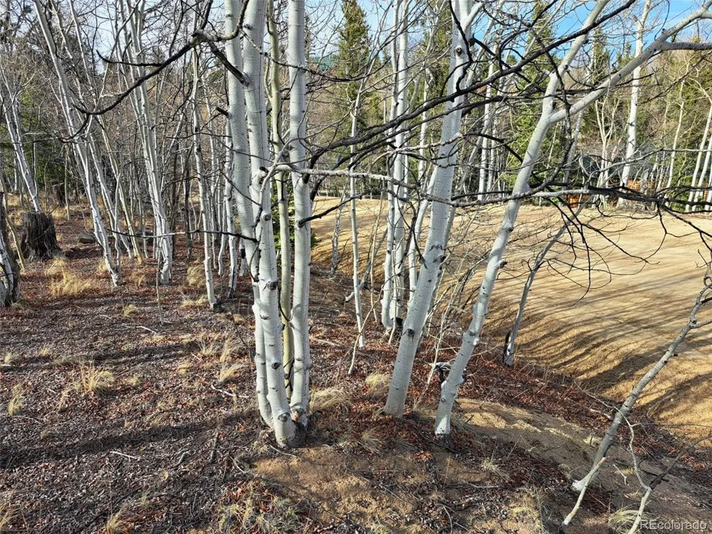 93 Wyandot Way Como, CO 80432