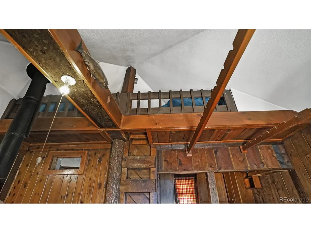 2275 Shelton Drive Bailey, CO 80421