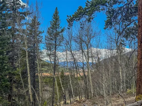 Buckeye Gulch Road
