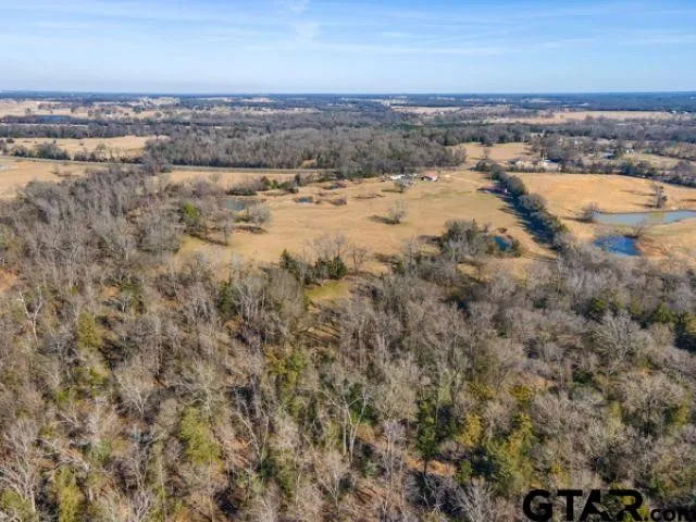 16376 Texas Highway 11 E Winnsboro, TX 75494