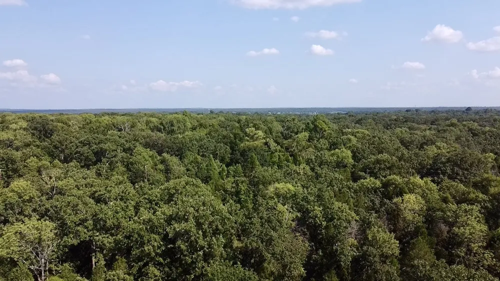 Paladin Drive Log Cabin, TX 75148