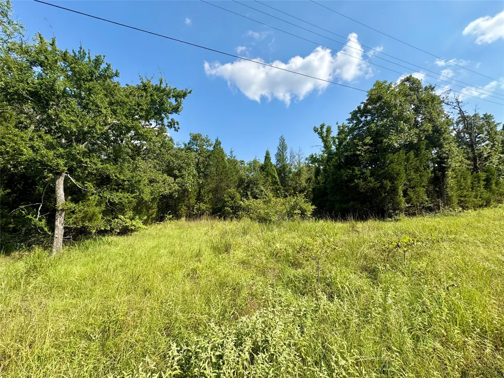 Paladin Drive Log Cabin, TX 75148