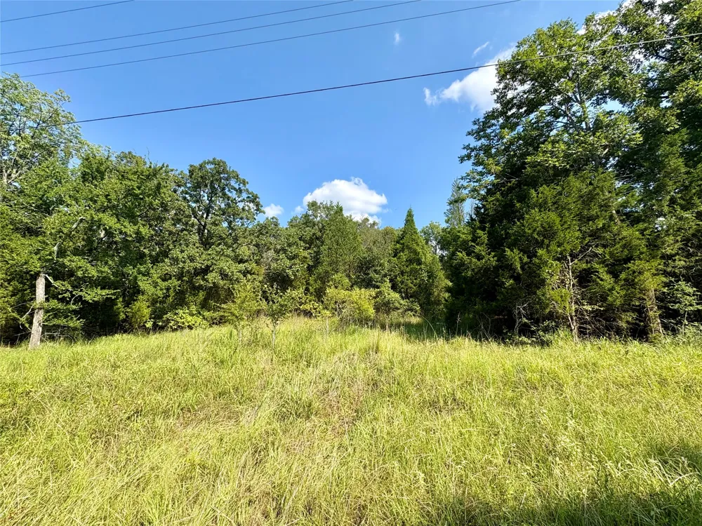 Paladin Drive Log Cabin, TX 75148
