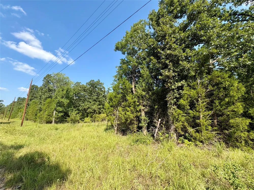 Paladin Drive Log Cabin, TX 75148