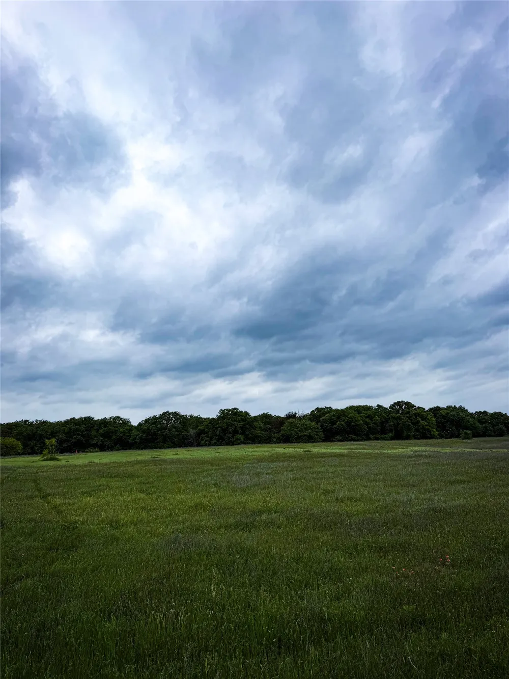 201 Campbell Lane Springtown, TX 76082