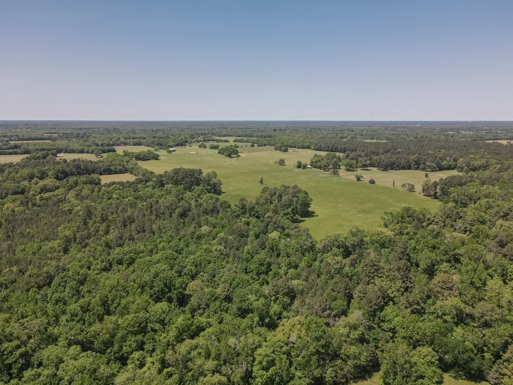 2852 FM 312 Winnsboro, TX 75494